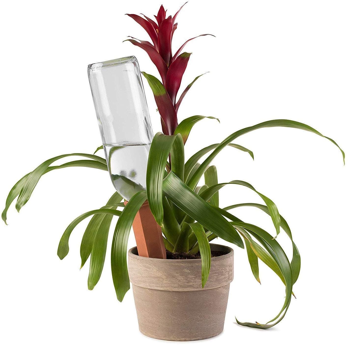 Terracotta Self-Watering Plant Spikes (4-Pack) — Vacation Plant Care 2